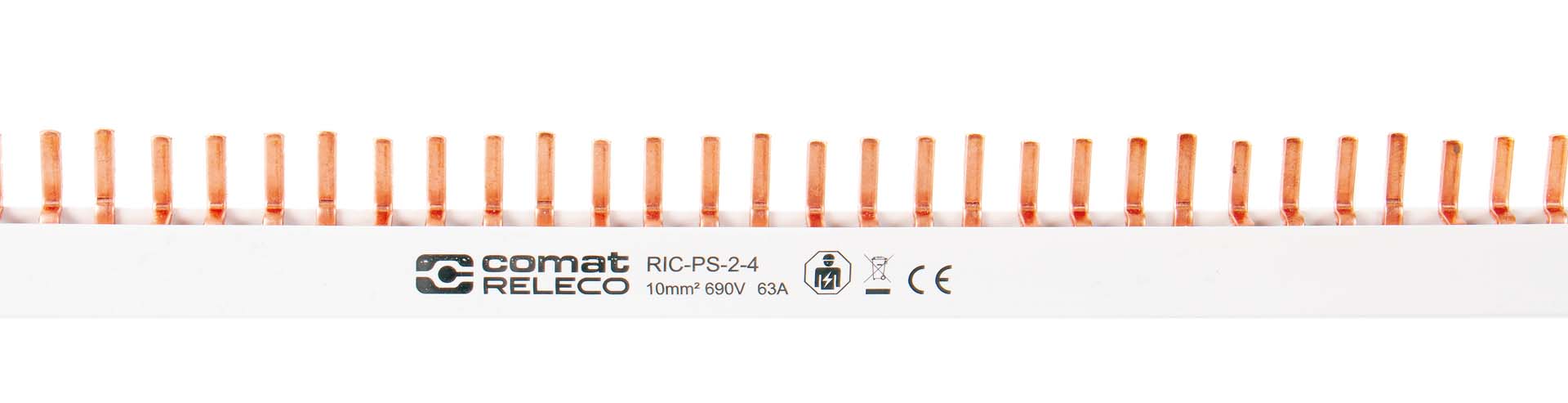 RIC-PS-2-4